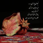 دانلود آهنگ فرید طباخیان و احمد تمیمی نبودی یار من